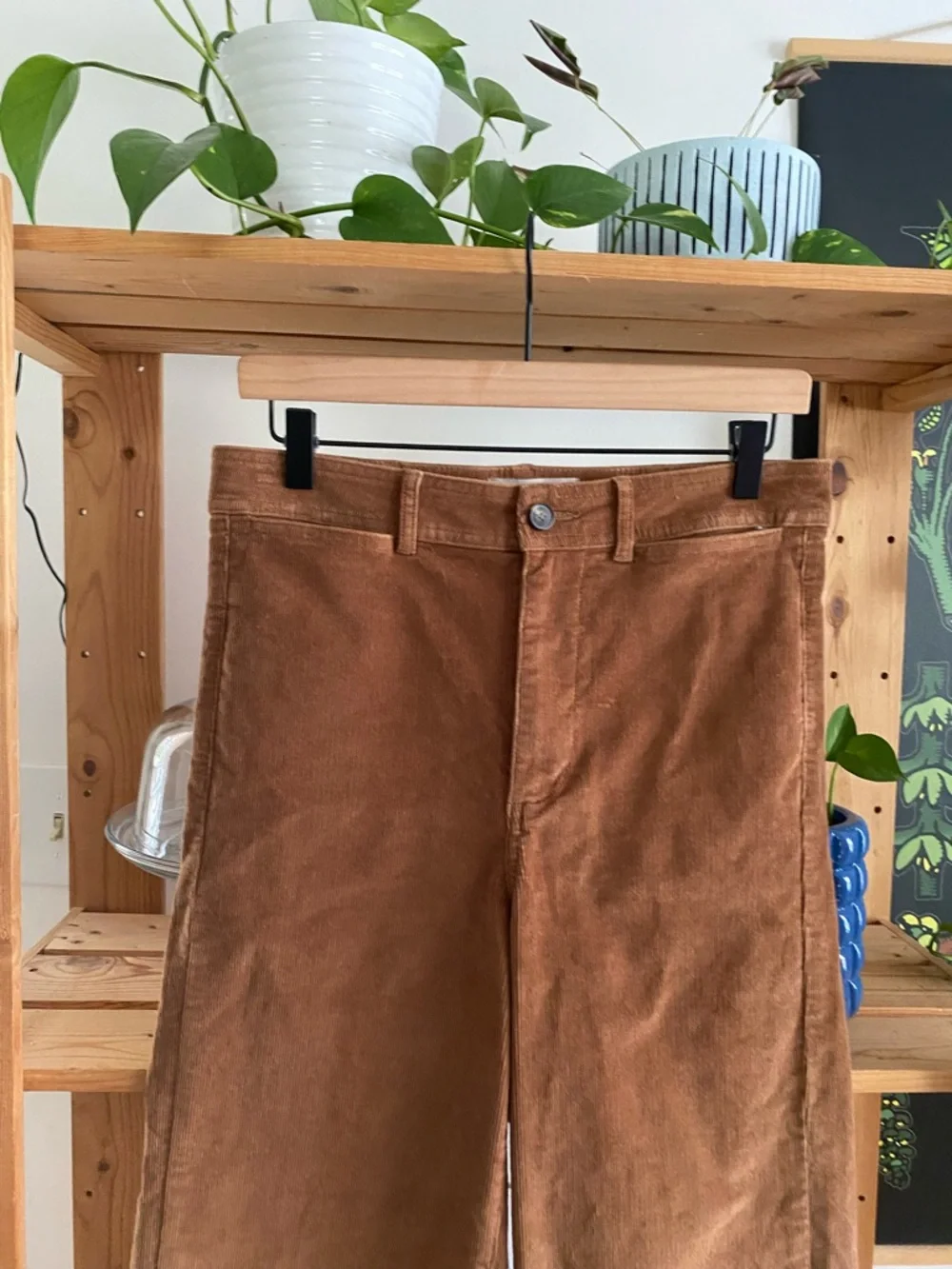 Everlane The Sailor Pant in Toasted Coconut Brown Corduroy 6 - Picture 10 of 16
